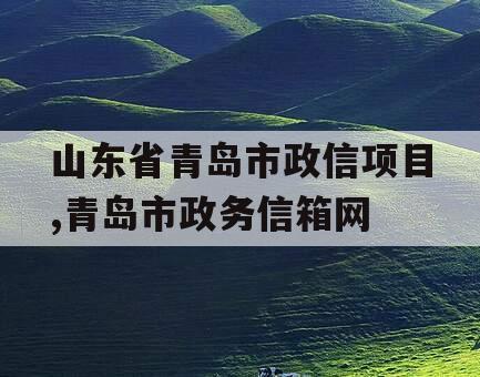 山东省青岛市政信项目,青岛市政务信箱网