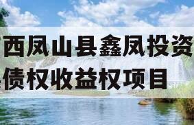 广西凤山县鑫凤投资发展债权收益权项目