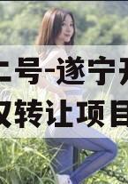 安鑫二号-遂宁开达投资债权转让项目