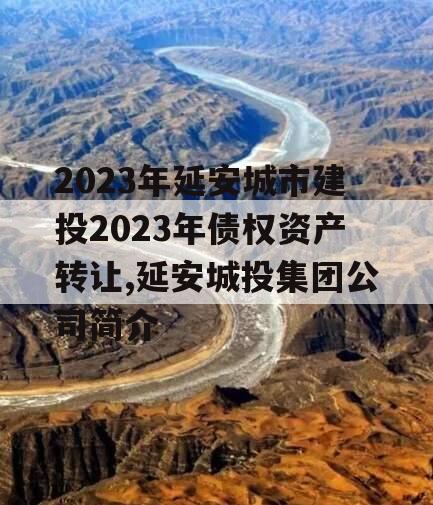 2023年延安城市建投2023年债权资产转让,延安城投集团公司简介