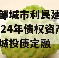 山东邹城市利民建设发展2024年债权资产计划城投债定融