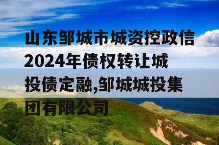 山东邹城市城资控政信2024年债权转让城投债定融,邹城城投集团有限公司