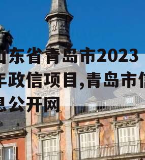 山东省青岛市2023年政信项目,青岛市信息公开网