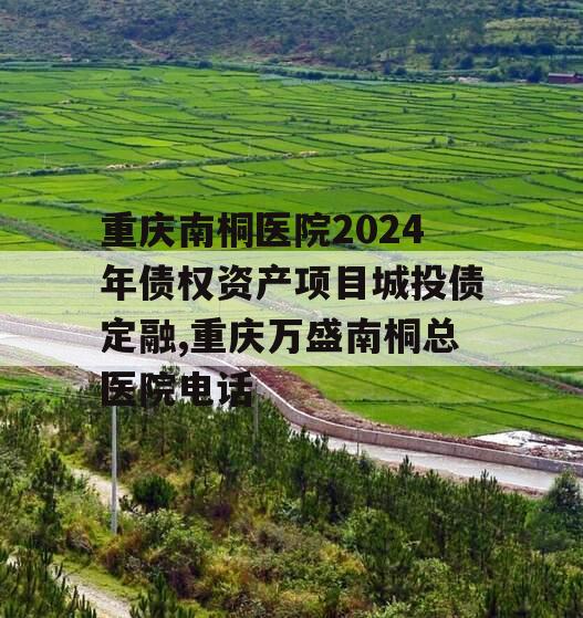 重庆南桐医院2024年债权资产项目城投债定融,重庆万盛南桐总医院电话