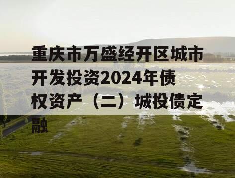 重庆市万盛经开区城市开发投资2024年债权资产（二）城投债定融