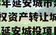 2023年延安城市建投债权资产转让城投债定融,延安城投项目