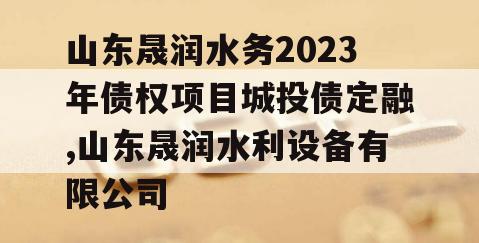 山东晟润水务2023年债权项目城投债定融,山东晟润水利设备有限公司