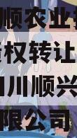 四川兴顺农业投资2024年债权转让城投债定融,四川顺兴达建设工程有限公司