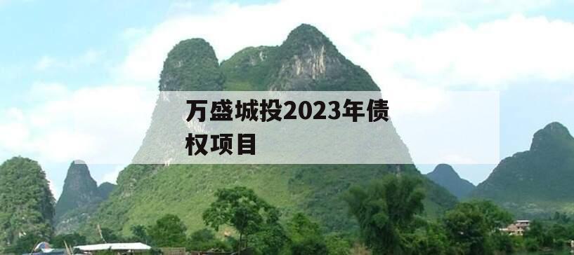 万盛城投2023年债权项目