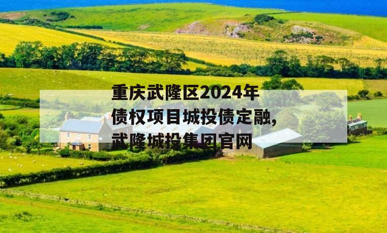 重庆武隆区2024年债权项目城投债定融,武隆城投集团官网