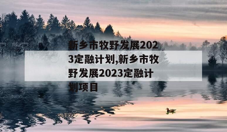 新乡市牧野发展2023定融计划,新乡市牧野发展2023定融计划项目