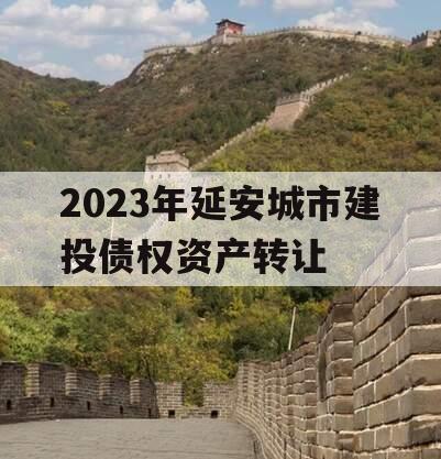 2023年延安城市建投债权资产转让