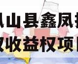 广西凤山县鑫凤投资发展债权收益权项目