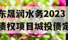 山东晟润水务2023年债权项目城投债定融