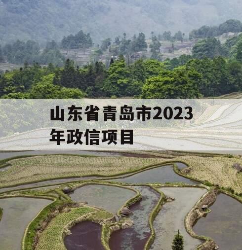 山东省青岛市2023年政信项目