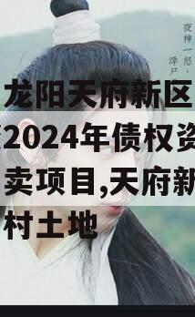 四川龙阳天府新区建设投资2024年债权资产拍卖项目,天府新区龙星村土地