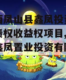 广西凤山县鑫凤投资发展债权收益权项目,广西鑫凤置业投资有限公司