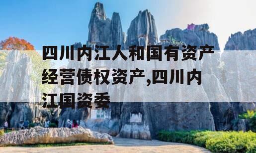 四川内江人和国有资产经营债权资产,四川内江国资委