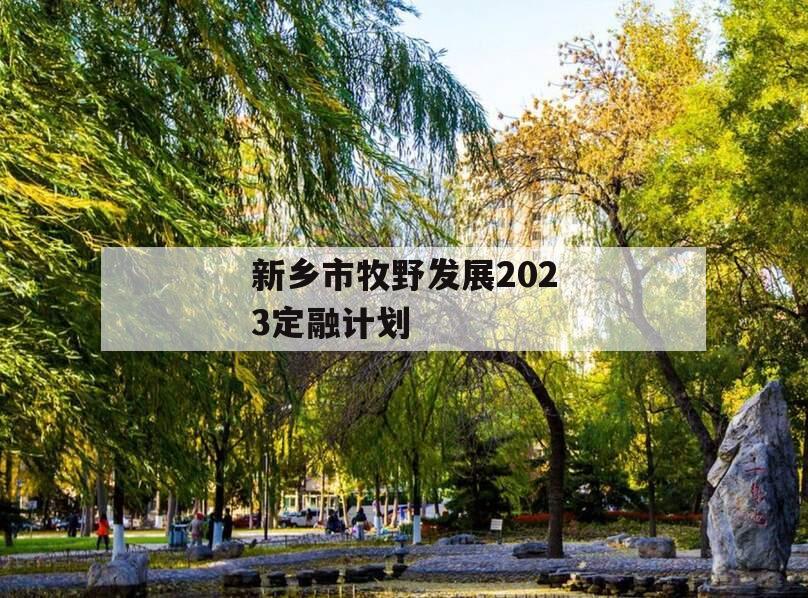 新乡市牧野发展2023定融计划