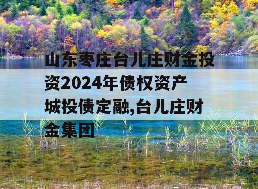 山东枣庄台儿庄财金投资2024年债权资产城投债定融,台儿庄财金集团