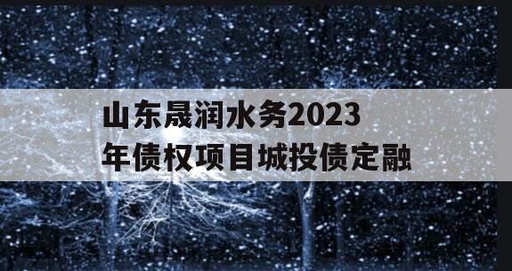 山东晟润水务2023年债权项目城投债定融