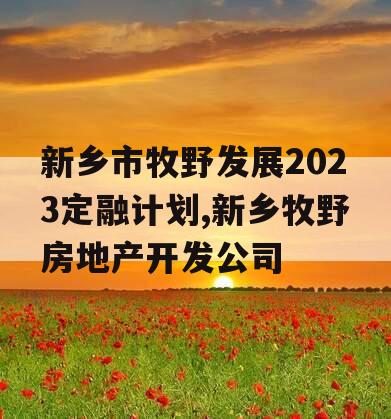 新乡市牧野发展2023定融计划,新乡牧野房地产开发公司