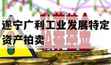 遂宁广利工业发展特定资产拍卖