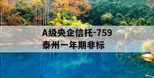 A级央企信托-759泰州一年期非标