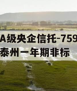 A级央企信托-759泰州一年期非标