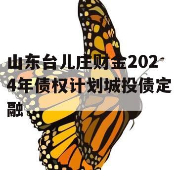 山东台儿庄财金2024年债权计划城投债定融