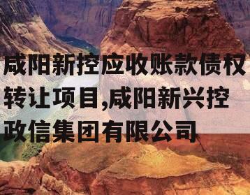 咸阳新控应收账款债权转让项目,咸阳新兴控政信集团有限公司