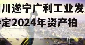 四川遂宁广利工业发展特定2024年资产拍卖