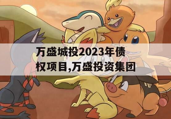 万盛城投2023年债权项目,万盛投资集团