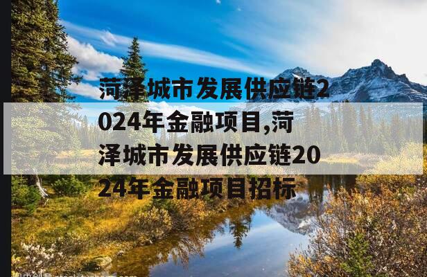 菏泽城市发展供应链2024年金融项目,菏泽城市发展供应链2024年金融项目招标