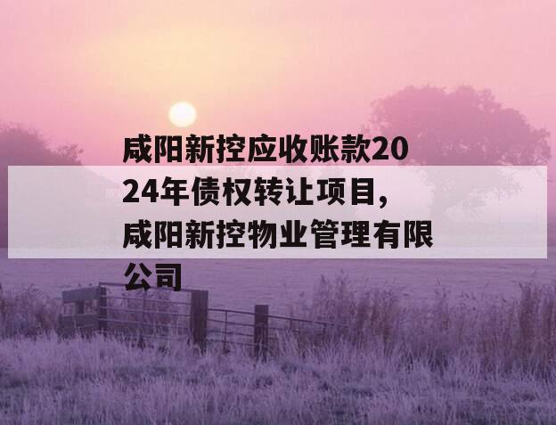 咸阳新控应收账款2024年债权转让项目,咸阳新控物业管理有限公司