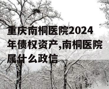 重庆南桐医院2024年债权资产,南桐医院属什么政信