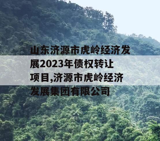 山东济源市虎岭经济发展2023年债权转让项目,济源市虎岭经济发展集团有限公司