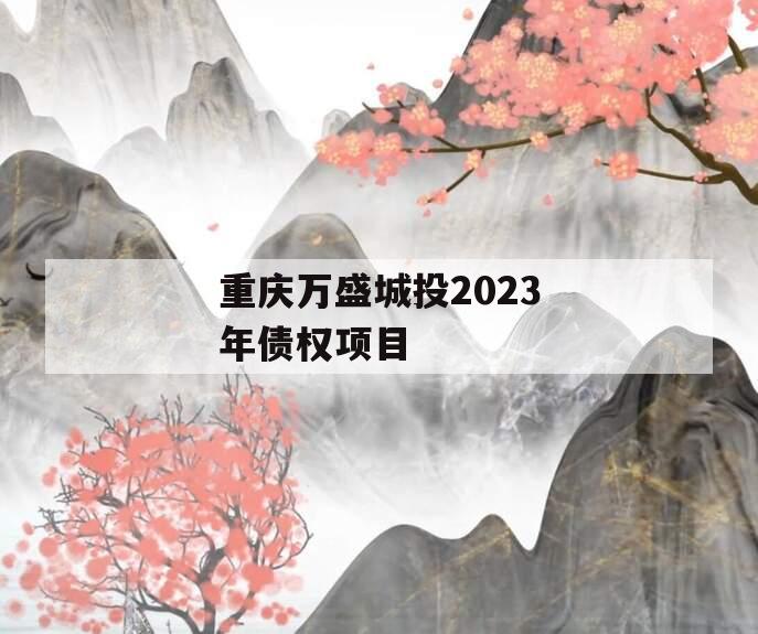 重庆万盛城投2023年债权项目