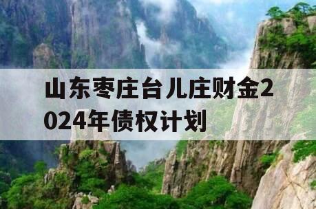 山东枣庄台儿庄财金2024年债权计划