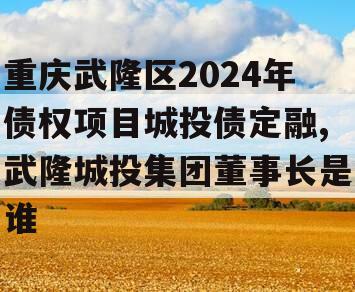 重庆武隆区2024年债权项目城投债定融,武隆城投集团董事长是谁