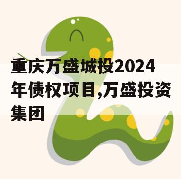 重庆万盛城投2024年债权项目,万盛投资集团