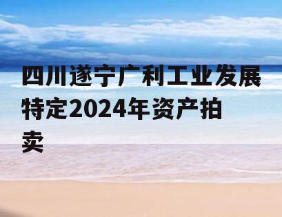 四川遂宁广利工业发展特定2024年资产拍卖