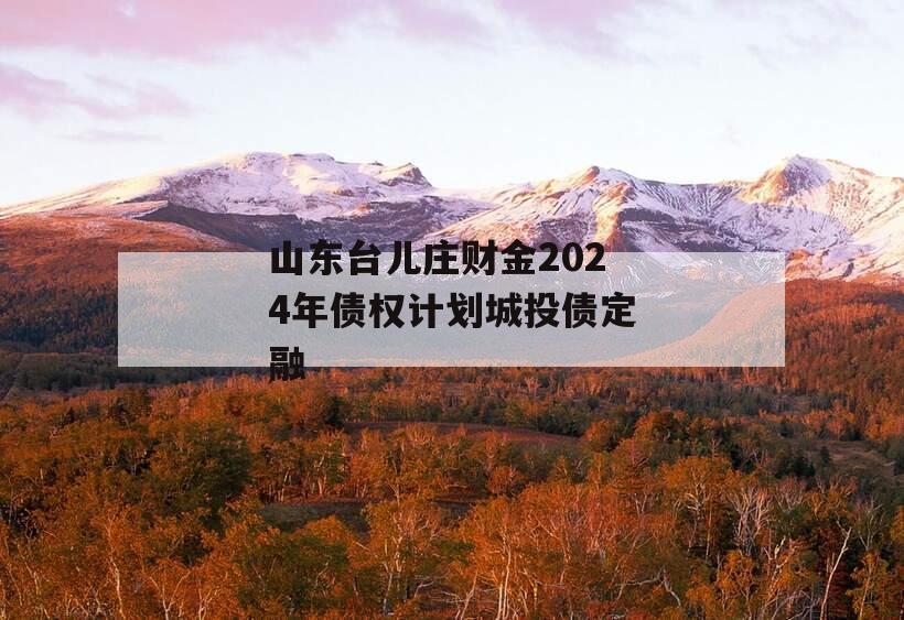 山东台儿庄财金2024年债权计划城投债定融