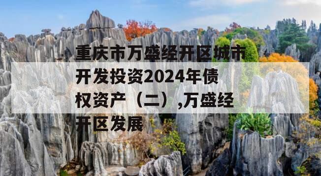 重庆市万盛经开区城市开发投资2024年债权资产（二）,万盛经开区发展