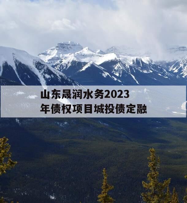 山东晟润水务2023年债权项目城投债定融