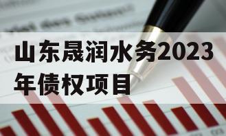 山东晟润水务2023年债权项目