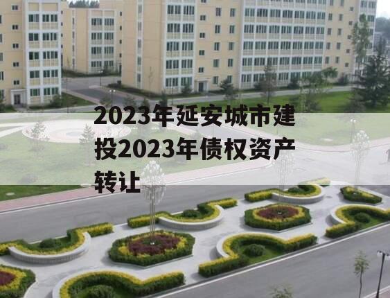 2023年延安城市建投2023年债权资产转让