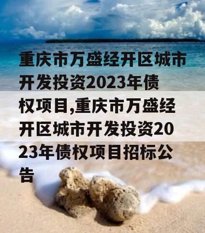 重庆市万盛经开区城市开发投资2023年债权项目,重庆市万盛经开区城市开发投资2023年债权项目招标公告