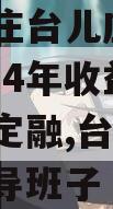 山东枣庄台儿庄财金D1号2024年收益权城投债定融,台儿庄财政局领导班子