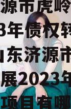 山东济源市虎岭经济发展2023年债权转让项目,山东济源市虎岭经济发展2023年债权转让项目有哪些